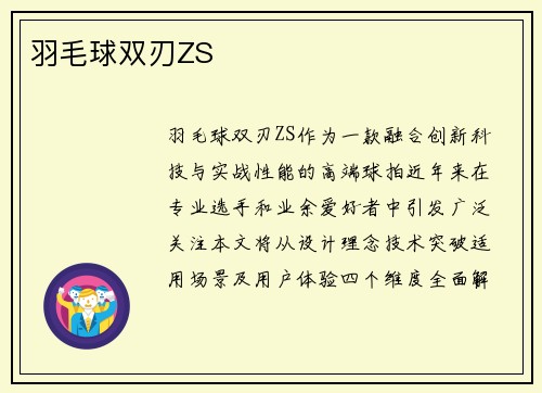 羽毛球双刃ZS